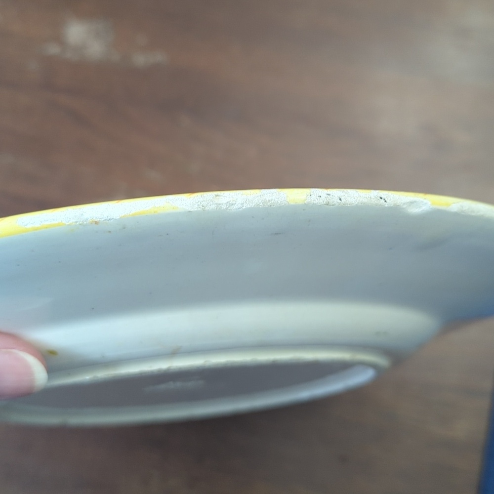 Majolica Pottery Plate - Picture 3 of 7